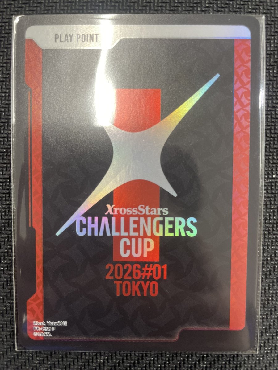 画像1: (未開封)PPカード(ホイル版)/PR【無】《PR-030》 (1)